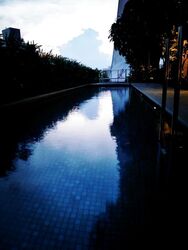 The Scotts Tower (D9), Condominium #503939981